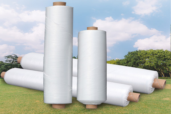 1644571302526153.jpg 透明薄膜.jpg